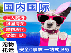 虹桥空运国际宠物托运 【国